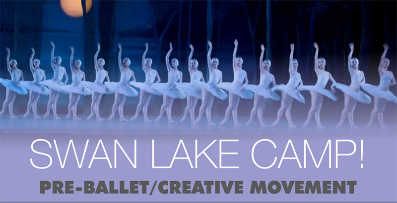 SWAN_LAKE_CAMPcrop